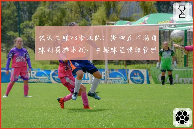 武汉三镇vs浙江队：斯坦丘不满角球判罚摔水瓶，中超球星情绪管理将成联赛焦点